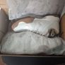 Tueton All Court Trainers Image 2
