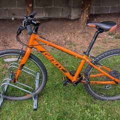 Giant Arx 24 kids bike