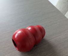 Dog kong