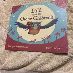Irish language children's book