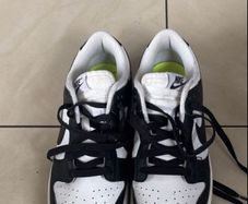 nike dunks