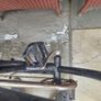 Cruiser bikes Image 4