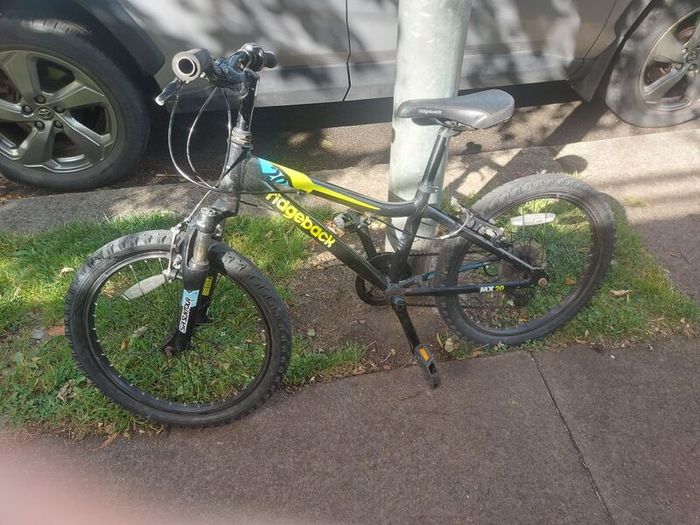 20 inch Kids Ridgeway bicycle