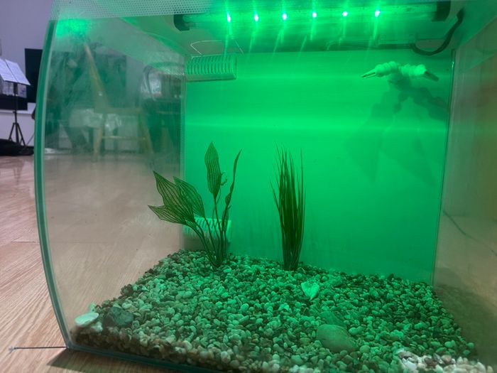 Fish tank