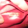 Rolex Red Wallet Image 2