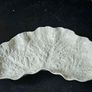 SPODE Bone China White Savoy Cabbage Crescent Plate Image 3