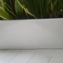 Sansevieria Laurentii planter Image 4