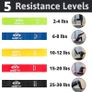 FREE EXPRESS SHIPPING Resistance Bands Set By Resist Fit-10-Level Adjustable Home Gym Equipment - Fitness Gear for Therapy Support, Stretching, Training, Gymnastics, Sports - Portable Workout Equipment with Carry Bag Image 2