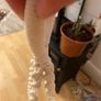 plant hange Image 5