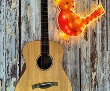 Maestro Elite Series Omega All Solid Acoustic Guitar