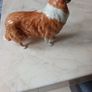 Vintage Beswick Rough  Collie  Dog   Porcelain Figurine Lochinvar Of Lady Park. Made in England. Image 6