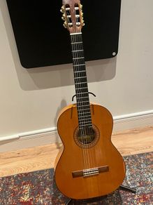 classical / flamenco guitar