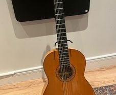 classical / flamenco guitar