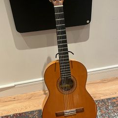 classical / flamenco guitar