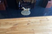 Brass Horse