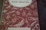Pests of flowers and shrubs 1955
