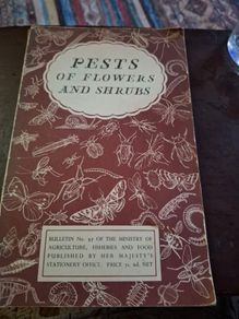 Pests of flowers and shrubs 1955