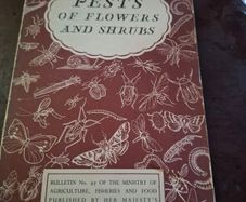 Pests of flowers and shrubs 1955