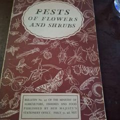 Pests of flowers and shrubs 1955