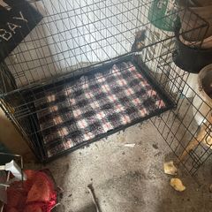 Large kennel