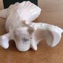 Vintage Belleek New Image 8