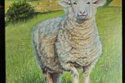 Original Oil Painting