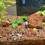 25l fish tank Image 2