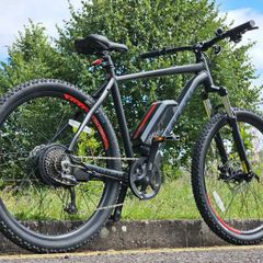 Carrera vengeance e pro men's electric bike