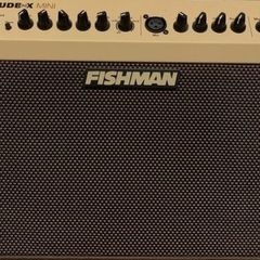 amp