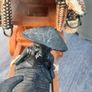 Lovely Handcrafted CARABO Cart Image 7