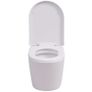 Wall Hung Toilet with Concealed Cistern Ceramic White Image 7
