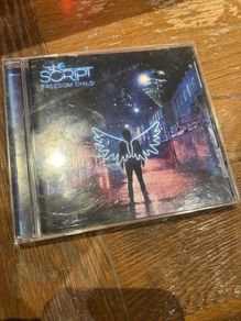 The Script - Freedom Child