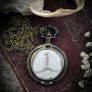 Deer Skull Sutures Partial Skull Bone Pocket Watch on Long Brass Chain Image 2