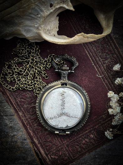 Deer Skull Sutures Partial Skull Bone Pocket Watch on Long Brass Chain