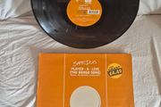 Safari duo,played alive (the bongo song) 12" vinyl