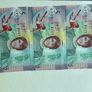 George Best Notes x 3 & Folder Image 8