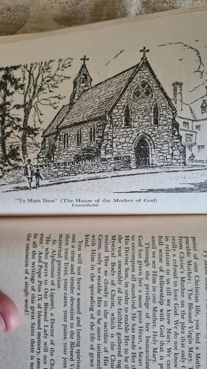 With The Help Of Our Lady. By F. M. Dreves. Paperback In Good Condition.