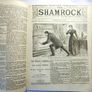 The SHAMROCK. 51 editions. National Magazine of Ireland News politics Illustrated. 1892. Rare antique book, novel. Image 7
