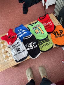 Puppy Vests