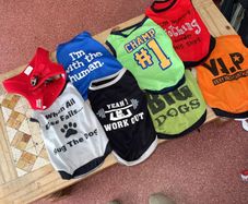 Puppy Vests