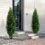 2 Pack 152.4 cm Artificial Cedar Topiary Tree Faux Plant UV Decor In/Outdoor Image 5