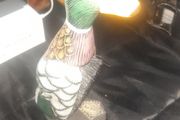 A Beautiful Vintage Duck with pull out Clothes Brush in nice condition