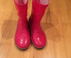 Girls Wellies size EU-34, UK-1