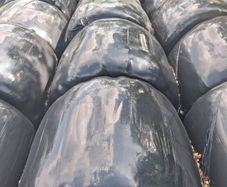 Silage Bales