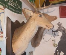 deers head