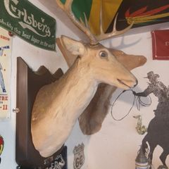 deers head