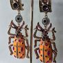 Bejewelled Crystal Large Beetle Earrings Image 2