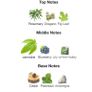 Cannabis Fruttata by Bois 1920 Image 4