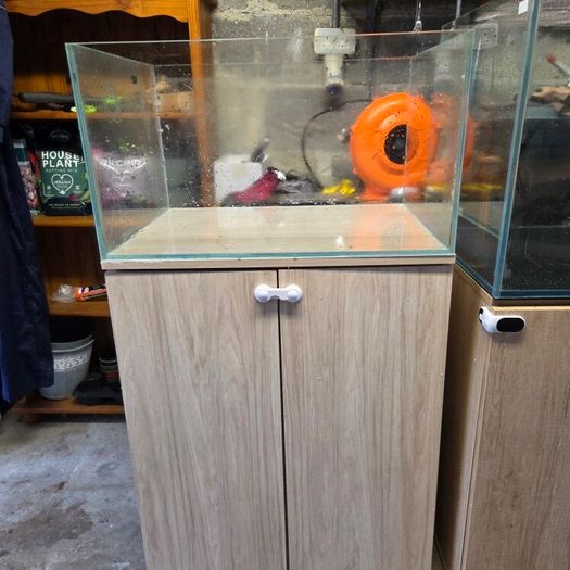 150l aquarium