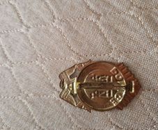 rare vintage  us police badge